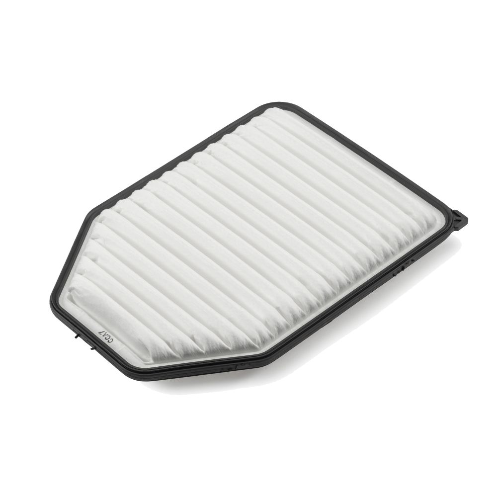 Filtro de aire Wrangler 3.6 / 3.8